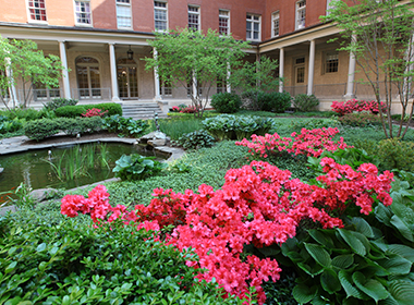 The garden in the courtyard of the historic Phipps Building provides a soothing presence.